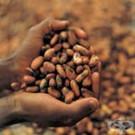 ������� �� ������� � ������� ���� �� � �����