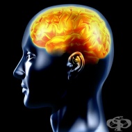 ������ �� ������� ���� ������� �����?