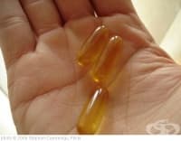 �������� ����� ���� ������ �� ������������