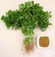 ��������� - ������� �������� � ��������� ����������