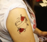 ���������� ���������� - ������������ ������