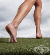 ����� � ���� ����� �� ������ - ����� �������� �� ��������� �� ����������� ���������