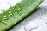 �������� �������� �������� �� ����� ��������