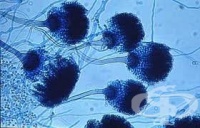 ������� ������ �� � ������������� � ��� �� �� ���������?