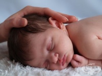 �������� ������� ������ � ��� ���������� �� ����� �� ������������ �����������