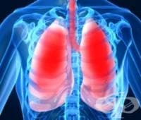 ��������� �� ���������� ������ ��������� �������������