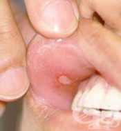 ���� �� �� �� �������� ��������� �������� �� ������