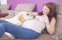 ������, ����� �� ������ �� ������ ���� ������������, ������ ��-������ ������