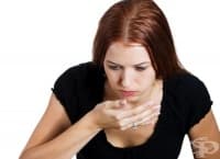 ������������ ���� �� ������� � ������� � ���������