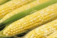 ������� ��, ����� �� �������� ��������