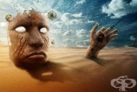 ������� ���� 100 ���� - ������, ��� � ����