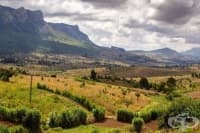 Чудотворният компост, който ще спаси африканските почви