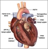 �������� ������������ ��������� ��� ����������