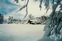 �������������� �� ������ ���� ��������