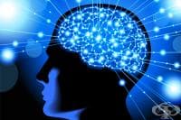 ������� � ������ �� ������ ��������