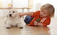 Децата избират играта с домашен любимец пред братчето или сестричето си