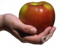 ���������� ����� �� ���������