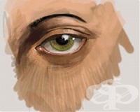 �������� �� ������