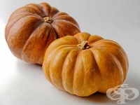 ����� � �����