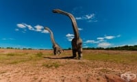 Палеонтолози откриват следи от тежка респираторна инфекция в прешлените на динозавър
