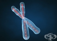 ������-���� ������� "���� �� ������" �� ������