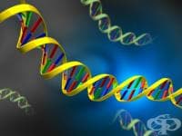 �������� ������, �� ������� ����� ��� ������ ������� ����� ������ � ���������� �� �������� ��