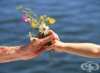 ����������� ���� �� ���������