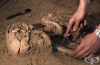 ������� ������� ������ �� ������ �� 13 ������ ������