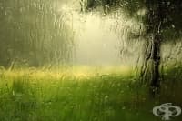 ���������� ����� ������ ��������� ������� ����� ��������