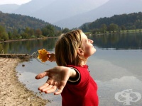 �������������� ���� ������ ��-�����