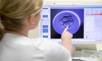 Забавеният растеж на някои ембриони може да бъде възстановен с помощта на ресвератрол