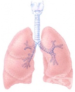 �������� �� �������� ����������� ����� �����