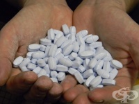 ������������������ ����� �� ��������������