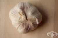 ������� - ���-������������ ����� �� ����������� �� ��������