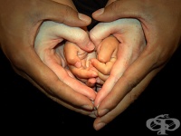 ������������ ����� ������� ��� ����� �� ������� �� �������