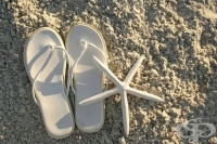 ��������������� ������ �� �������� ���� ���� �� ��������