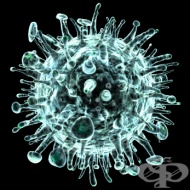 ��������� ���������� ����� �� ������ �� ����