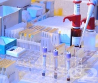 ���� ����������� ����� �������, �� �� ��� ������� �� ����