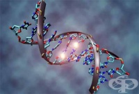 �� ����� �� �������� �������� �� �������� �����������?