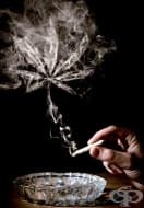 ��������� ��� ����������� ��������