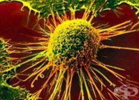 ���������� �� ���������� ������ ����� �� ����������� ���