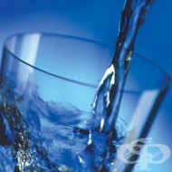 ������ - ���-������� ������� �� ��������