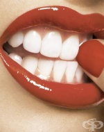 ��������� ����� �� ������ ��������� �� ��������