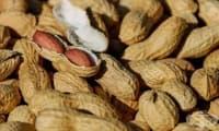 Според ново проучване имунотерапията за алергия към фъстъци осигурява защита, но не и лек