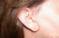 ������ �� ������ ���� �� ���� ��������� �� ������ ������