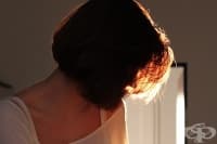 ������������������ - ������ ������ �� ��������