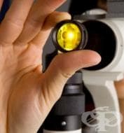 ������������ ����� �� ������ ���� �� ��������