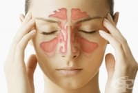 ������������ ���� �� �� ����� �� �������