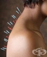 ������������� ��������� ��������� �� ����������