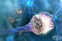 ����� ��������� ��������������� ������� ����-����� � �������